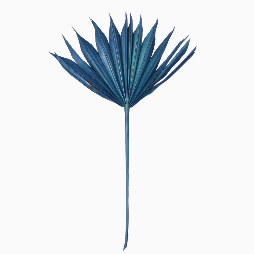 Vickerman Natural Botanicals 13.75 - 19.5" Midnight Blue Dried Palm Sun Spear 12 per bag.