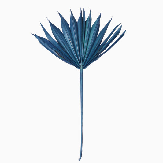 Vickerman Natural Botanicals 13.75 - 19.5" Midnight Blue Dried Palm Sun Spear 12 per bag.
