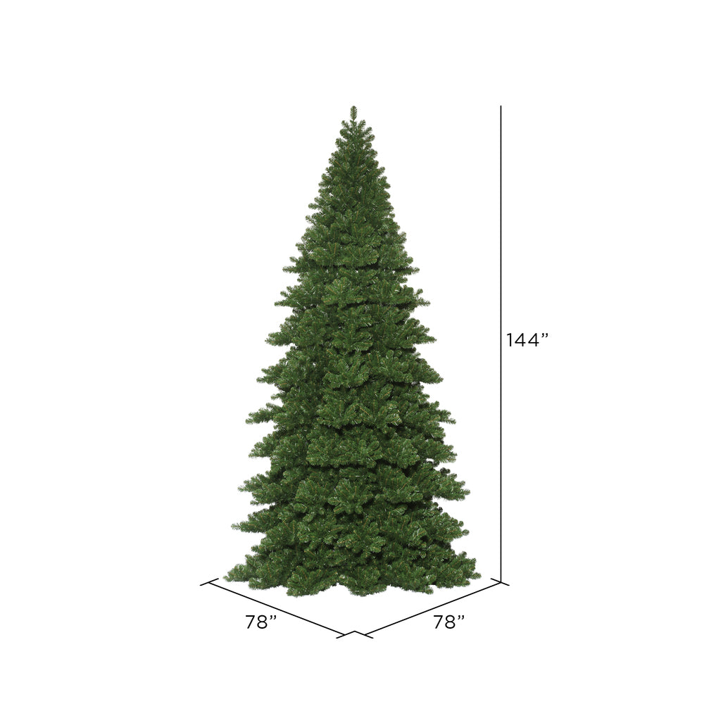 Vickerman 12' x 78" Oregon Fir Artificial Christmas Frame Tree Unlit