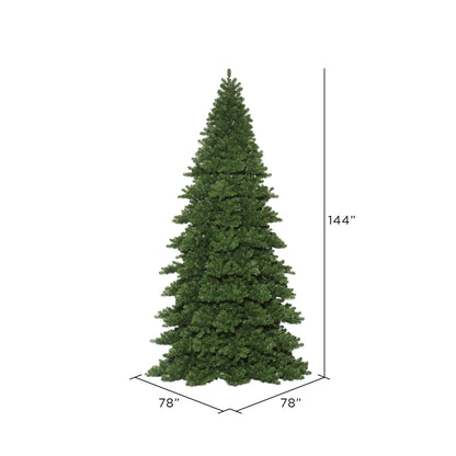 Vickerman 12' x 78" Oregon Fir Artificial Christmas Frame Tree Unlit