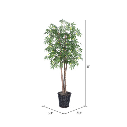 Vickerman 6' Artificial Japanese Maple Deluxe Rattan Basket