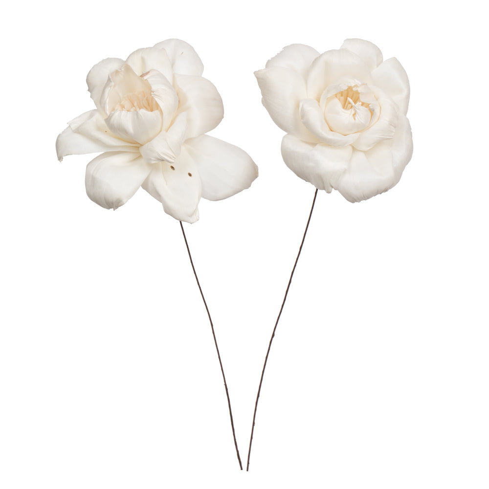 Vickerman Natural Botanicals 4" Natural Dried Roestte Sola Flower on 12" wire stem- 12 stem/polybag.