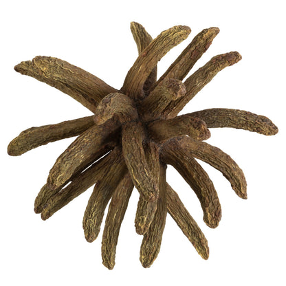 Vickerman 3-4" Nat'l Green Spider Claws Includes 16-20 pieces per tray Dried