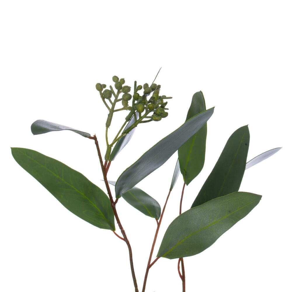 Vickerman 24" Artificial Green Seeded Willow Eucalyptus  Wreath