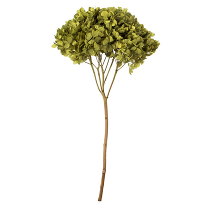 Vickerman 15" Antique Moss Hydrangea with Multiple Branch Segments. Preserved
