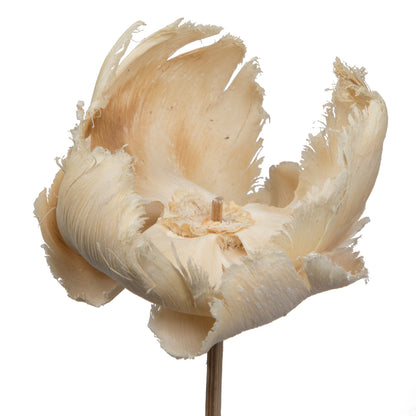 Vickerman Natural Botanicals 2.75" Palm Cap White Wash on Stem. Includes 25 pieces per Pack.
