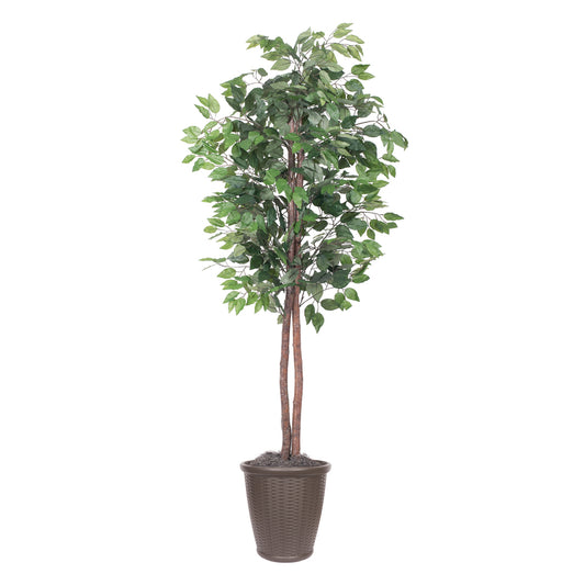 Vickerman 6' Artificial Ficus Tree Brown Round Plastic Container.