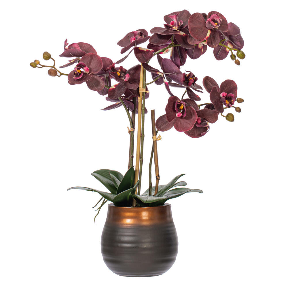 Vickerman 22" Artificial Potted Real Touch Purple Phalaenopsis Spray.