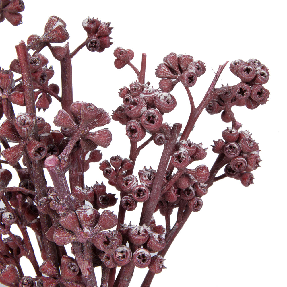 Vickerman Natural Botanicals 13" x 1-3" Red Gum Branch Red Frosted 14 stems per unit