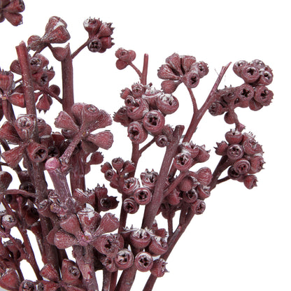 Vickerman Natural Botanicals 13" x 1-3" Red Gum Branch Red Frosted 14 stems per unit