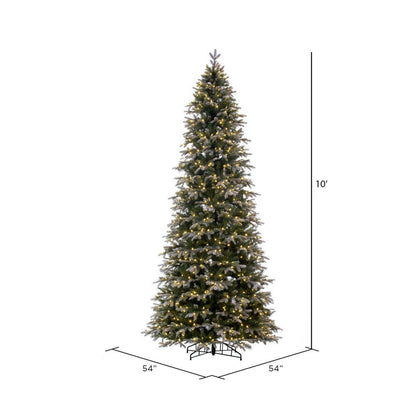 Vickerman 10' x 54" Frosted Douglas Fir Artificial Pre-Lit Christmas Tree Warm White LED Mini Lights.