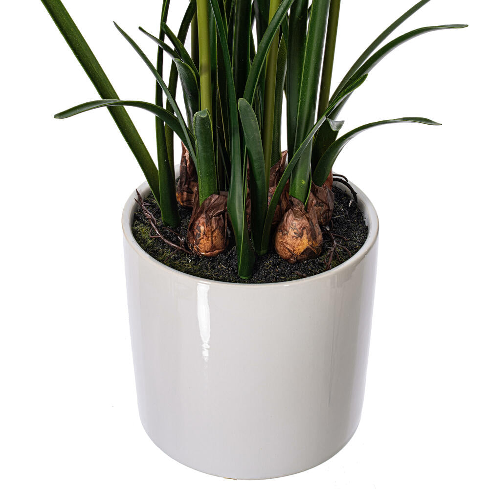 Vickerman 16.5" Artificial White Daffodil in Ceramic Pot.