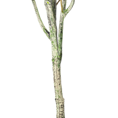 Vickerman 72" Artificial Green Olive Tree in Black Planters Pot.