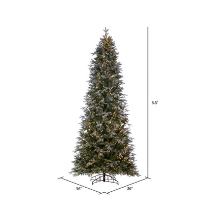 Vickerman 5.5' x 36" Frosted Douglas Fir Artificial Pre-Lit Christmas Tree Warm White 3mm LED Lights