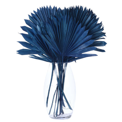 Vickerman Natural Botanicals 13.75 - 19.5" Midnight Blue Dried Palm Sun Spear 12 per bag.