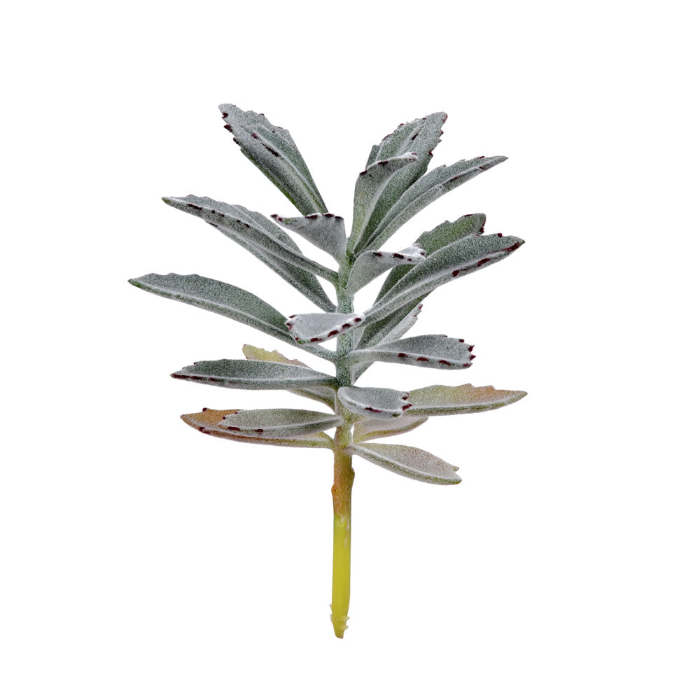 Vickerman 8" Artificial Succulent Pick Set of 4