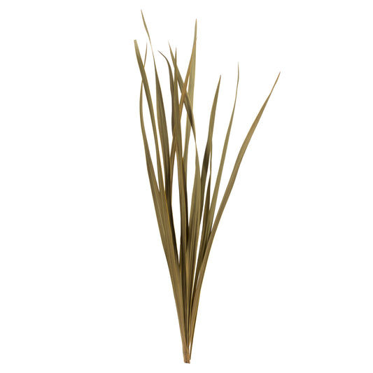 Vickerman 18-30" Natural Snake Grass. Includes 36 Stems (3 - 12 Stem Bundles) Dried