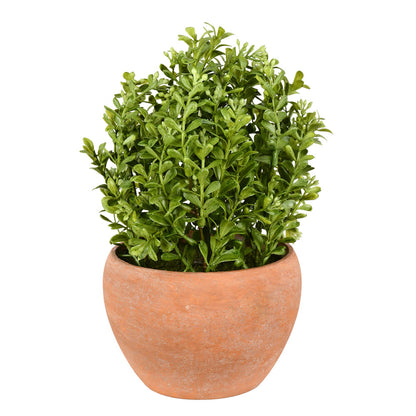 Vickerman 10" Artificial Green Potted Boxwood Bush Ceramic Container