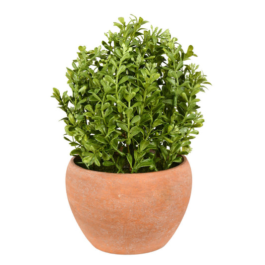 Vickerman 10" Artificial Green Potted Boxwood Bush Ceramic Container