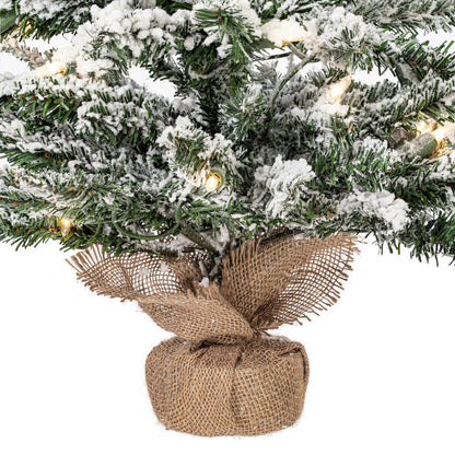 Vickerman 24" Flocked Anoka Pine Artificial Christmas Tree Clear Lights