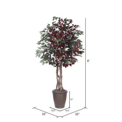 Vickerman 6' Artificial Capensia Executive Tree Brown Round Plastic Container.