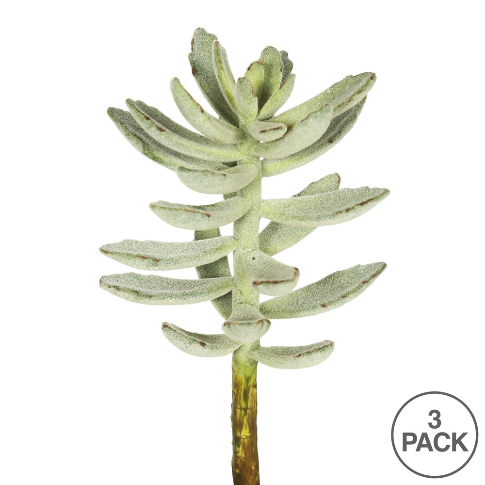 Vickerman 12" Artificial Frosted Green Pachyphytum Oviferum Stem Set of 3
