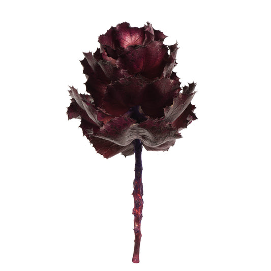 Vickerman 6" - 7" Queen Flower Medium Violet For Receiving Only (CP-30) Dried