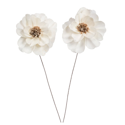 Vickerman Natural Botanicals 4" Natural Dried Anemone Sola Flower on 12" wire stem- 12 stem/polybag.