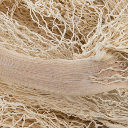 Vickerman Natural Botanicals 8"-12" Khejur Jhar Bleached. Includes 25 pieces per Pack.
