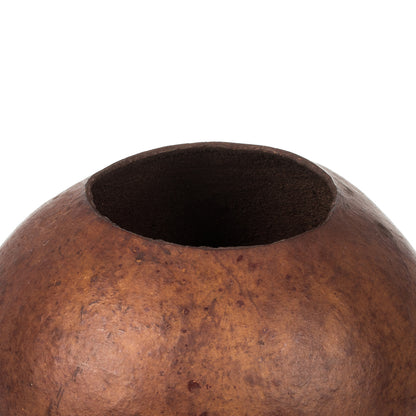 Vickerman 6-7"H x 6-8"W Brown Bacacuia Gourd. Includes 3 Pieces Dried
