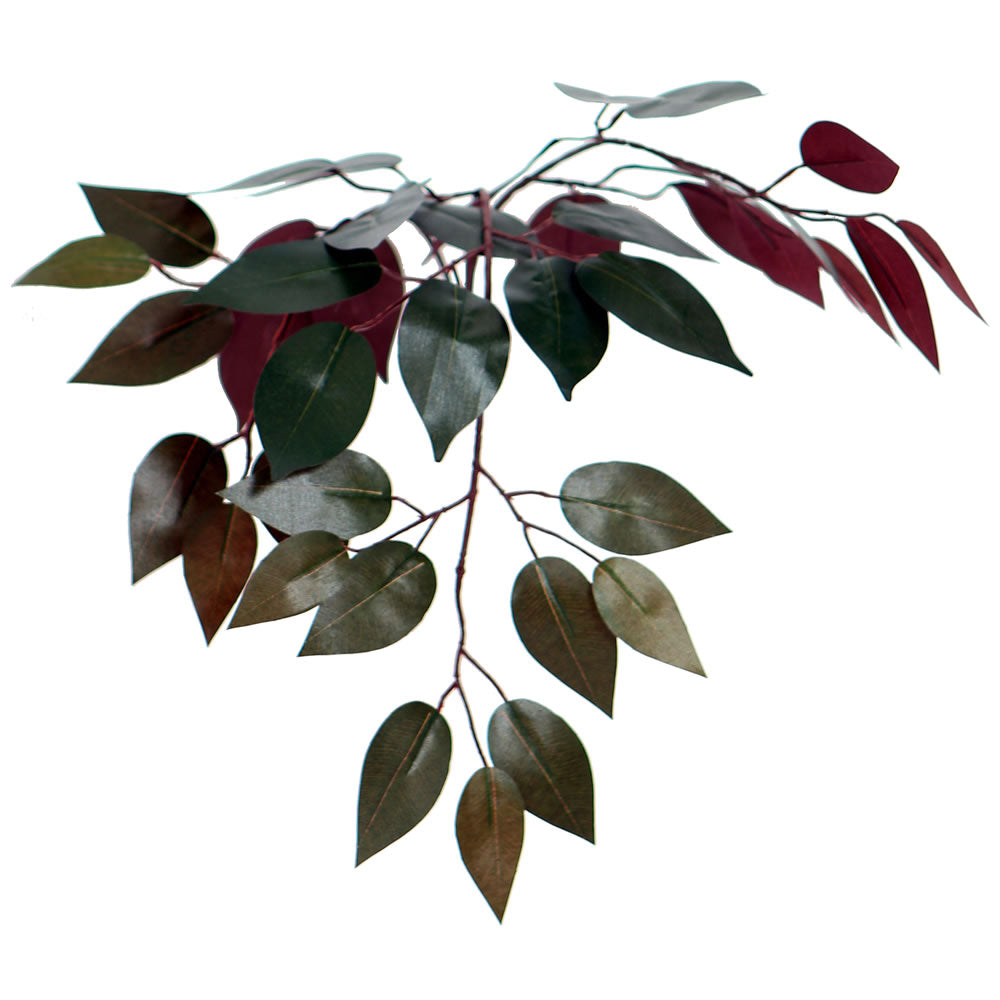 Vickerman 6' Artificial Capensia Deluxe Tree Brown Round Plastic Container.