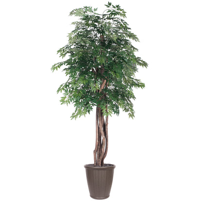 Vickerman 6' Artificial Ming Aralia Executive Tree Brown Round Plastic Container.