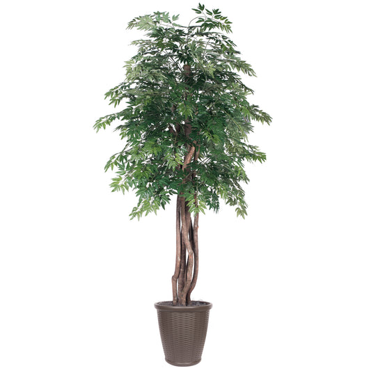 Vickerman 6' Artificial Ming Aralia Executive Tree Brown Round Plastic Container.