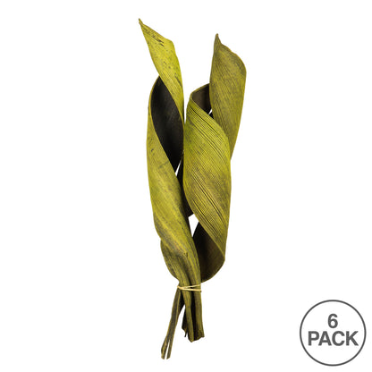 Vickerman 16 - 20" Basil Coco Paddle - Curled 6 Piece Bundle Dried