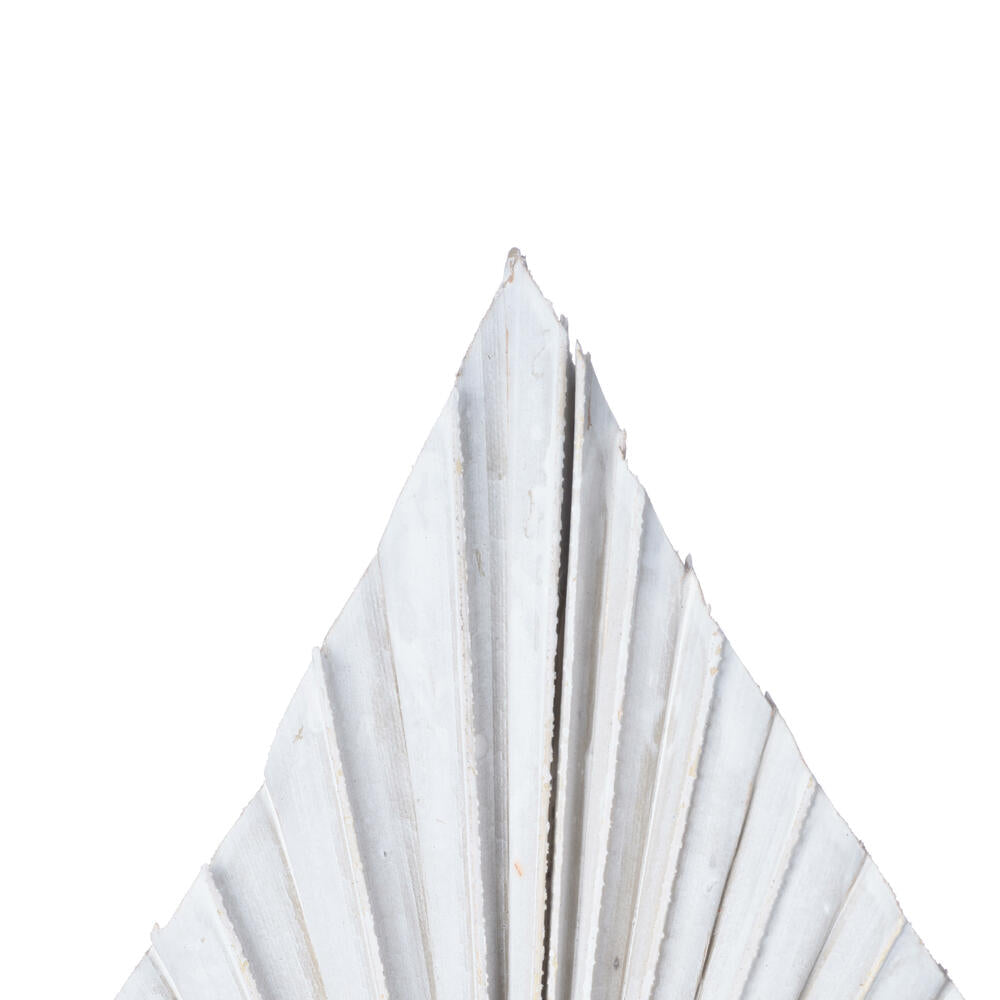 Vickerman Natural Botanicals 15.75 - 19.5" White wash Dried Palm Spear 12 per bag.