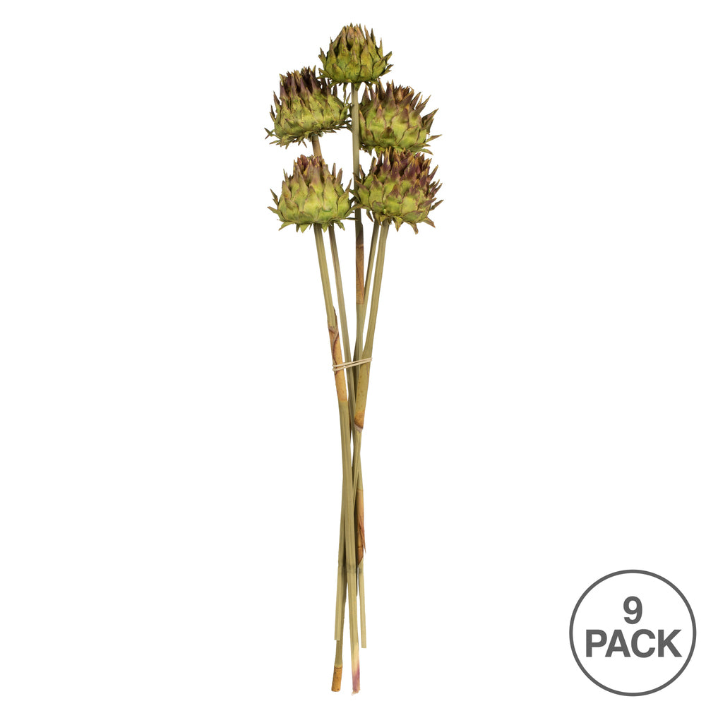 Vickerman 15"  Basil Artichoke Head attached to a Reed Stem Dried