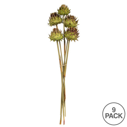 Vickerman 15"  Basil Artichoke Head attached to a Reed Stem Dried