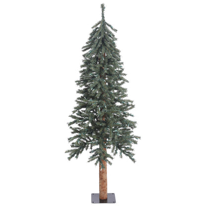 Vickerman 5' Natural Bark Alpine Artificial Christmas Tree Unlit