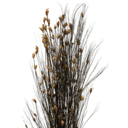 Vickerman 36-40" Natural Bell Grass with Seed Pods 8-9 oz Bundle Preserved