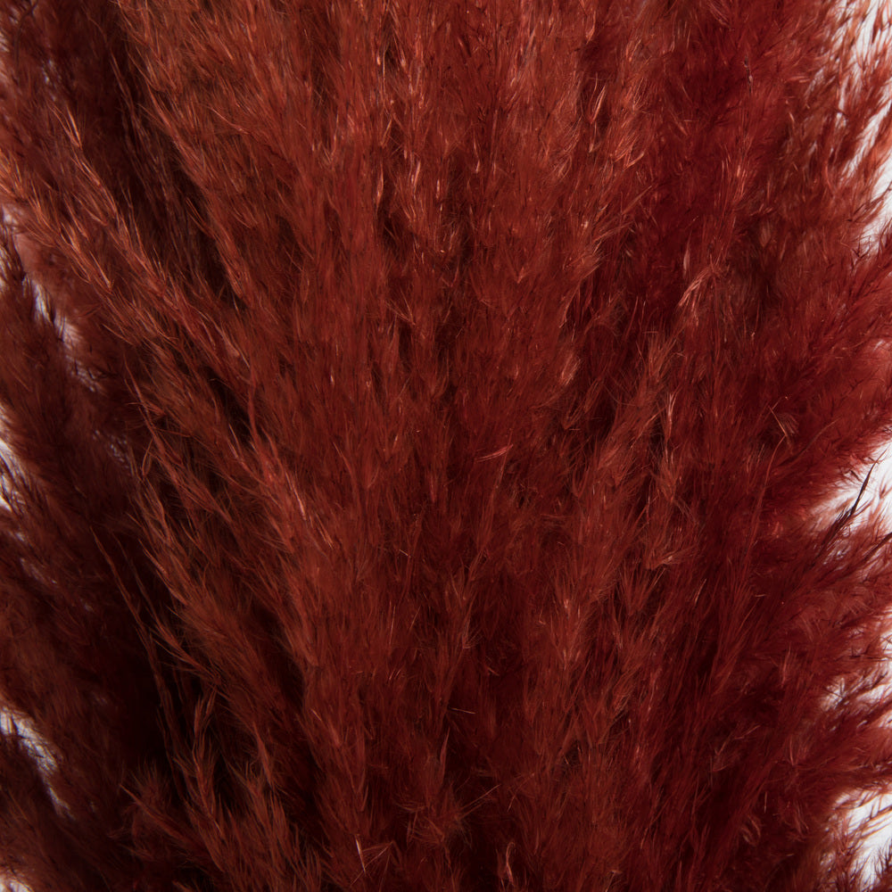 Vickerman 46" Dried Bordeaux Pampas Grass 6 pack. It includes two stems. Recommended for Indoor.