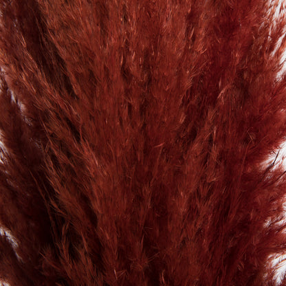 Vickerman 46" Dried Bordeaux Pampas Grass 6 pack. It includes two stems. Recommended for Indoor.