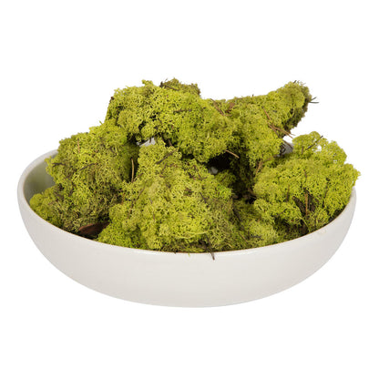 Vickerman Lime Green Preserved Reindeer Moss 2 Lbs per Box