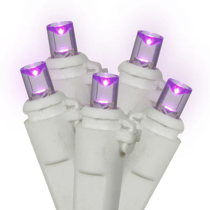 Vickerman 50 Purple Wide Angle LED Light on White Wire 25' Christmas Single Mold Light Strand