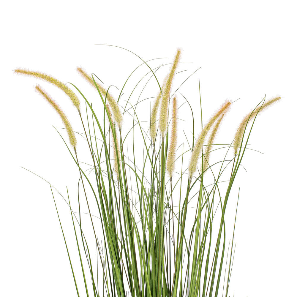 Vickerman 60" Artificial Potted Green Grass and Cattails.
