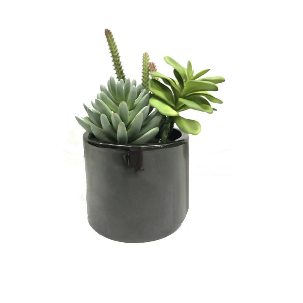 Vickerman 8" Artificial Green Succulents in Cement Pot.
