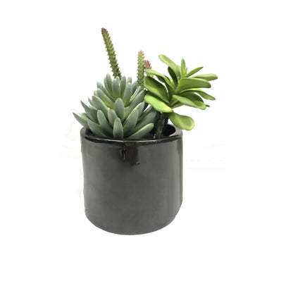 Vickerman 8" Artificial Green Succulents in Cement Pot.
