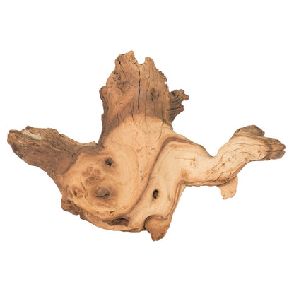 Vickerman 6-12" Natural Driftwood (Petrified)- Bulk Approximately 30 Pieces per Case Dried