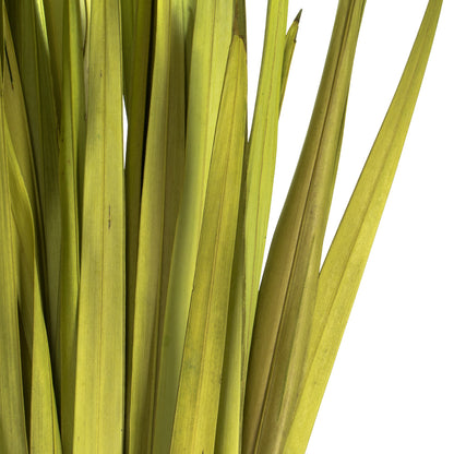 Vickerman 18-23" Basil Coco Palm Leaf Bundle.  Includes 8oz (2 -4oz Bundles) Dried