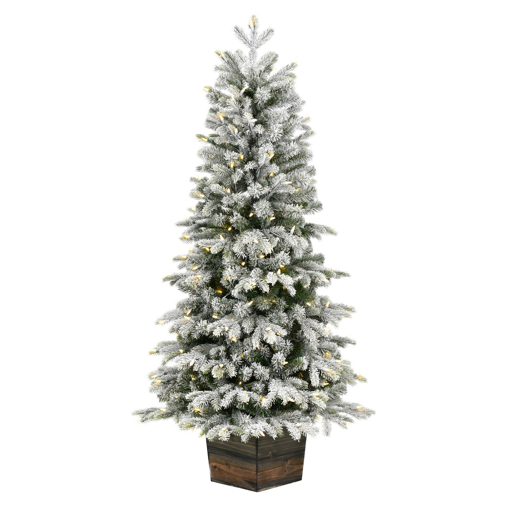 Vickerman 5' x 32" Frosted Wendell Slim Potted Pine Artificial Christmas Tree Warm White LED Lights