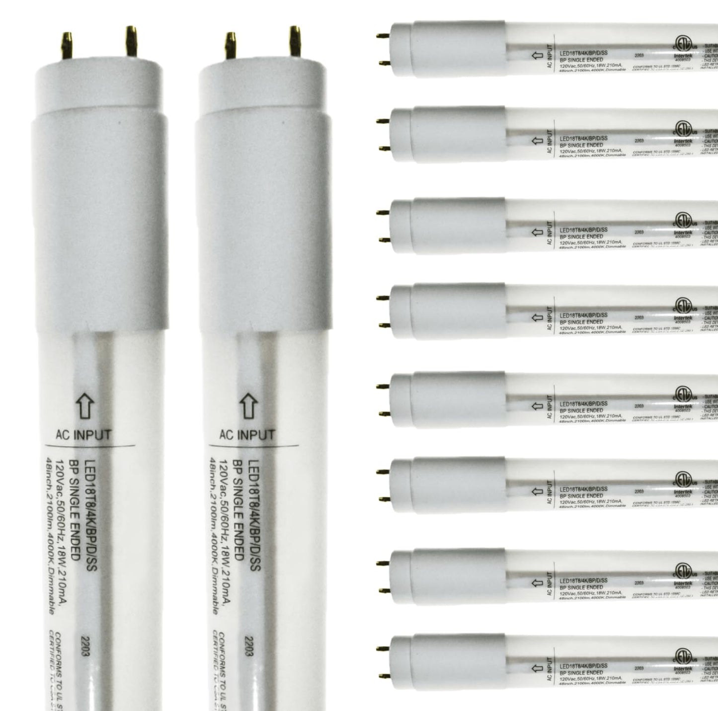 Damar- 4Ft T8 LED Tube Light Bulb Type B Single Ended Ballast Bypass Safety Shielded 18W 2100 Lumens 4000K Cool White Dimmable G13 Bi-Pin Base 120V ETL Listed Pack of 10- Fluorescent Replacement